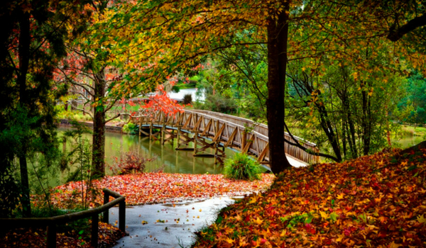 Explore Emerald Lake Park - particularly stunning in autumn!