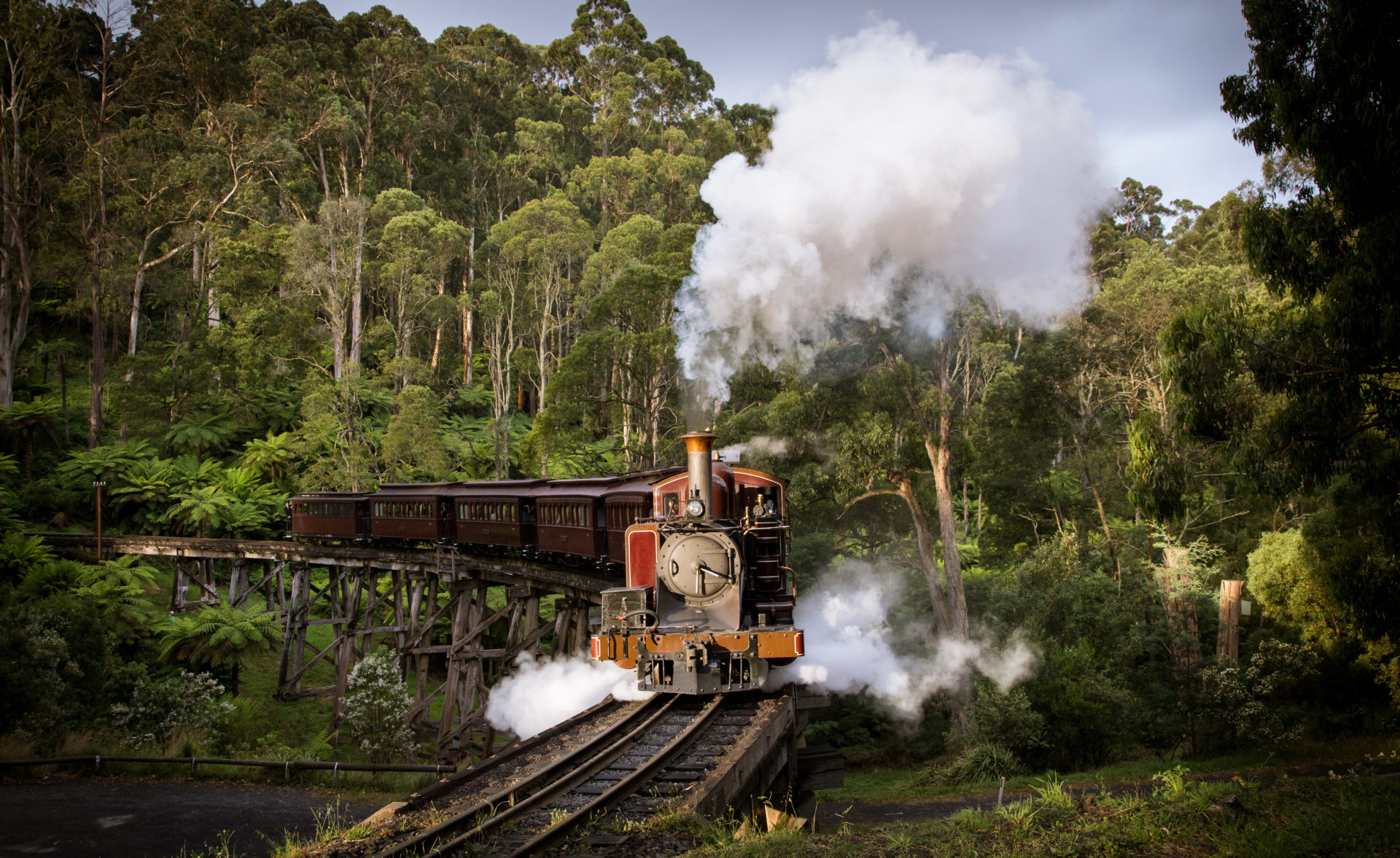 Weddings at Puffing Billy Railway - Puffing Billy.