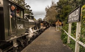 puffing billy tour