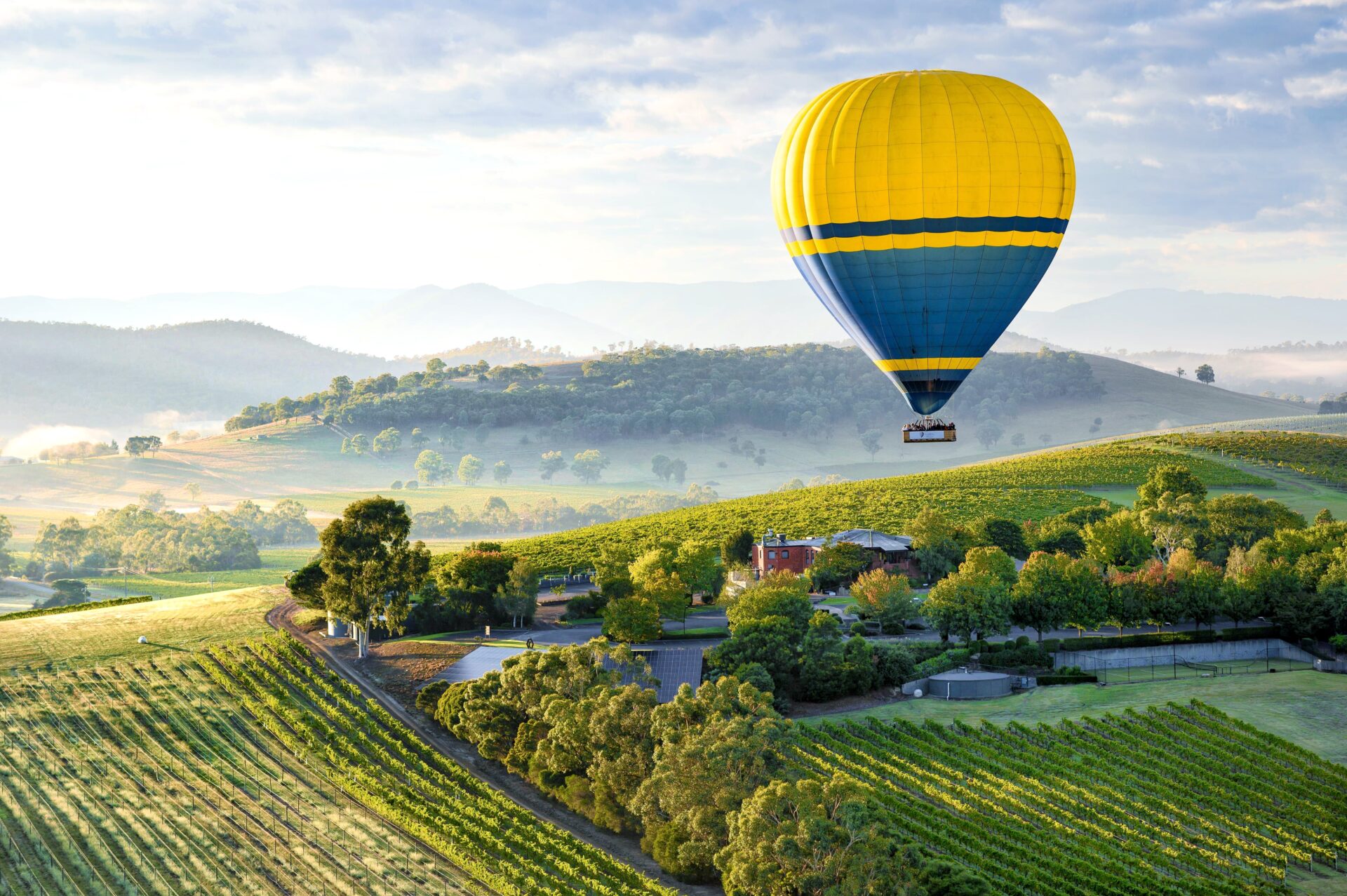 A blue and yellow hot air balloon flying over Yarra Valley, with vines and farmland seen below.