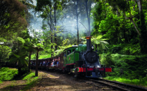 Puffing Billy Railway travelling through the lush Dandenong Ranges. Passengers onboard is taking part in the age-old traditions of dangling their legs over the side of the open side carriages.