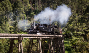 Puffing Billy travels over the Trestle Bridge