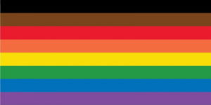 Rainbow Flag 300x150
