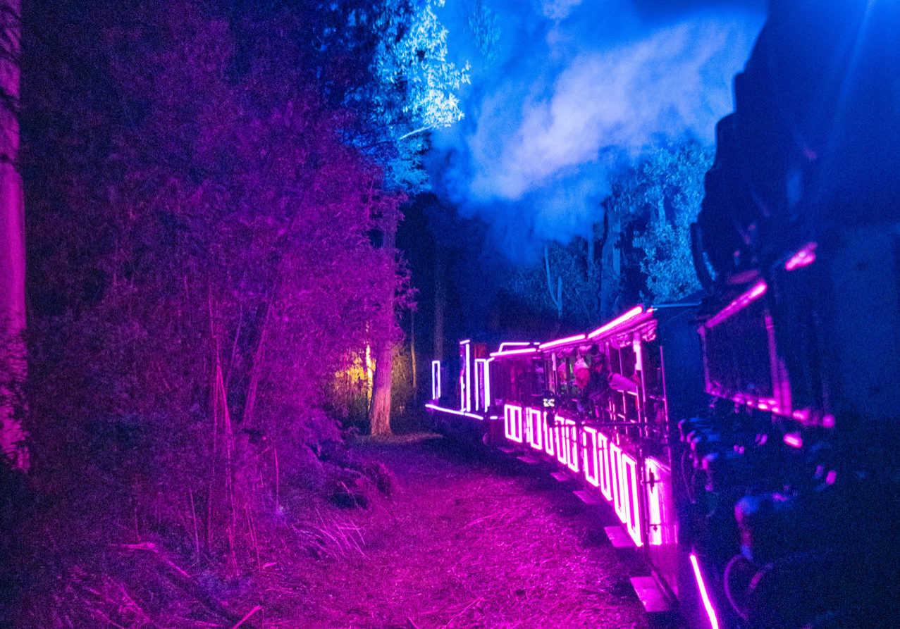 Puffing Billy Train of Lights travels through the Dandenong Ranges. The train and surrounding bushland is illuminated in pink and blue hues.
