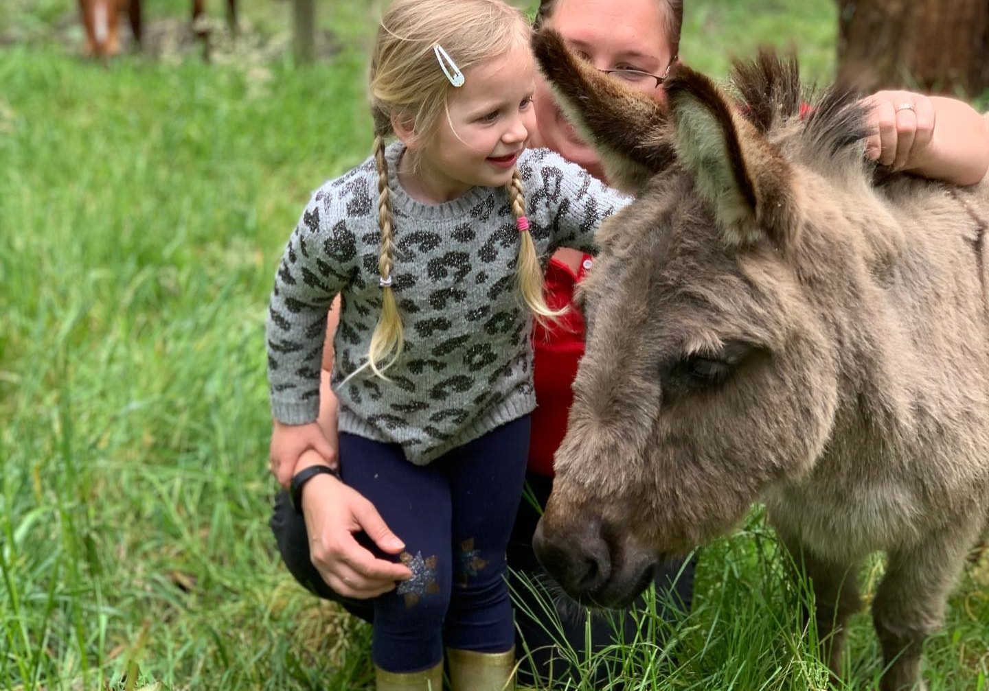 A young girl has a cuddle with a miniature donkey. A woman can be seen in the background, sitting next to the girl. Bright green grass surround them and a horse can be seen grazing in the distance.
