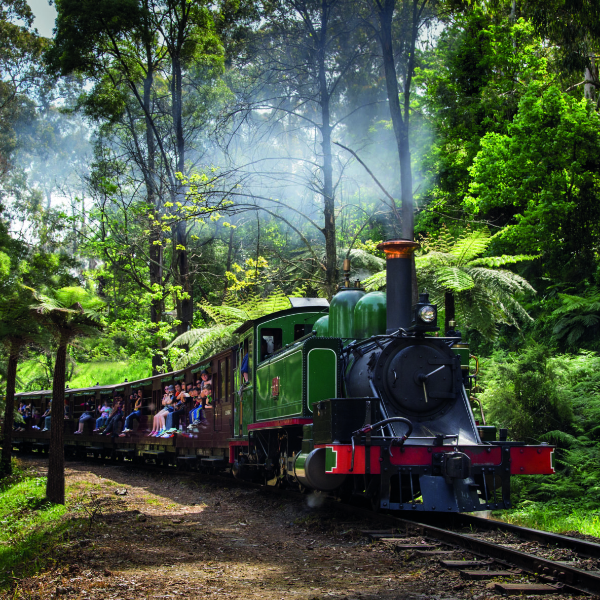 IMG 0970 Edited Sitting On Sills By Michael Greenhill Puffing Billy travelling through the dense forest, with ferns and eucalyptus trees seen on each side of the railway track. Many passengers are seen sitting with their legs over the ledge of the open side carriages. The green locomotive has white steam coming out of its funnel.