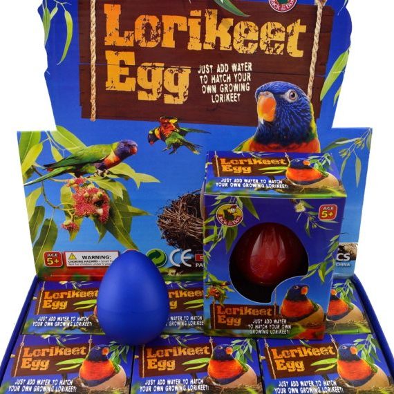 Lorikeet Growing Egg 2