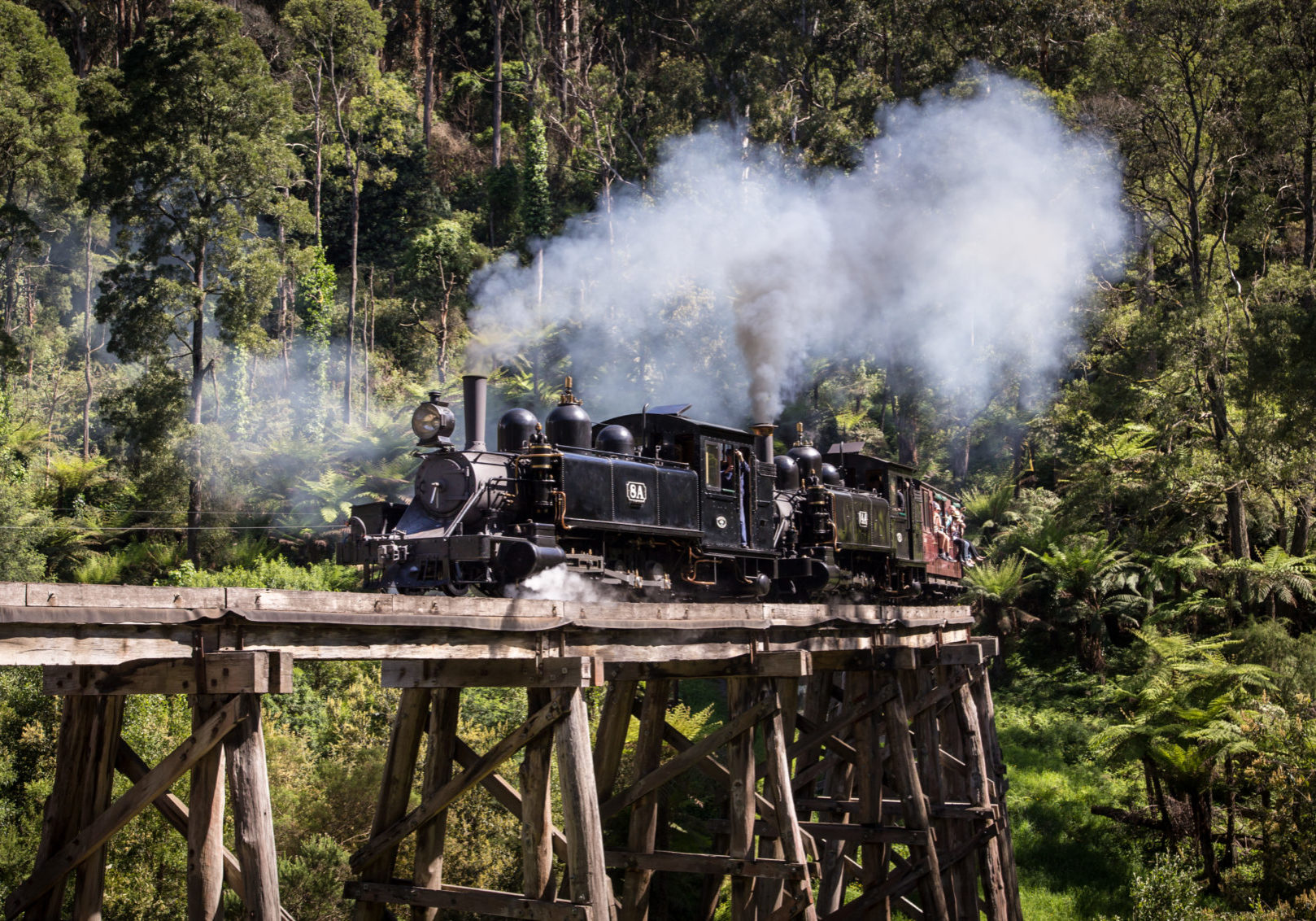 Puffing Billy travels over the Trestle Bridge