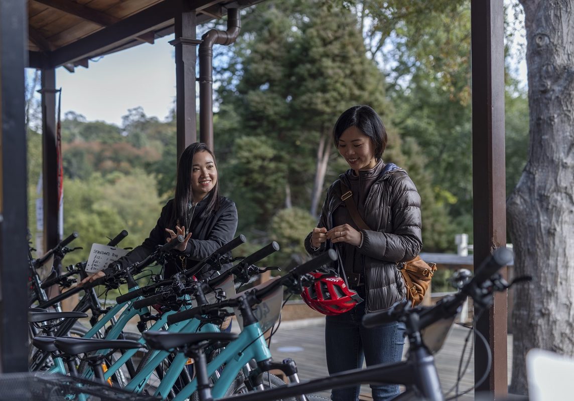 Passengers hiring a bike and taking to the Eastern Dandenong Ranges Trail