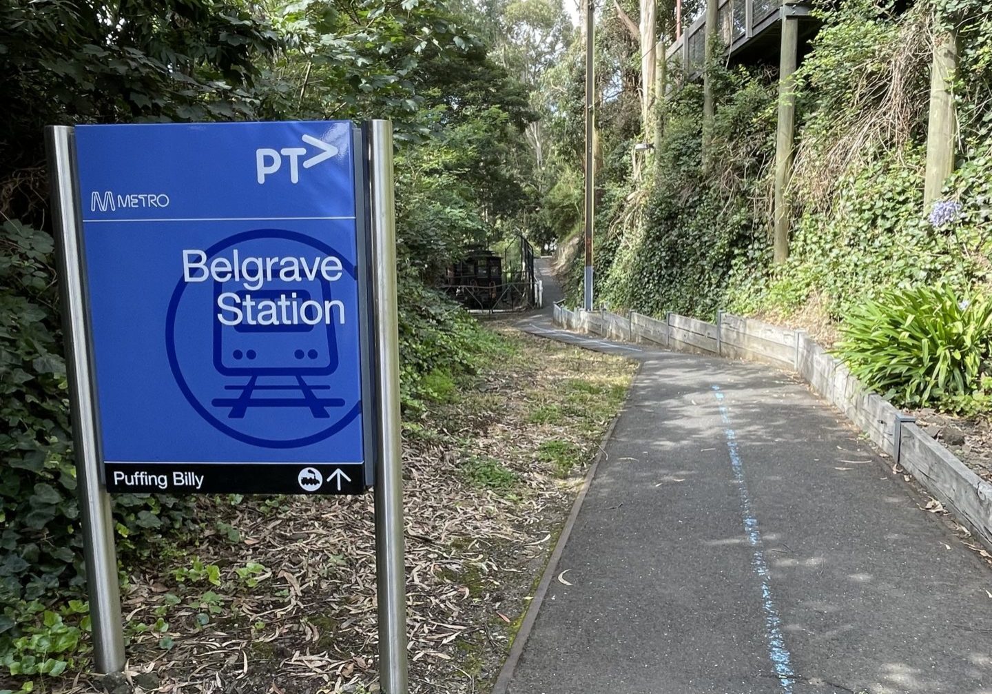 Pathway From Belgrave Metro Train Station To Puffing Billy Railway. The path has a bitumen surface and is quite narrow. It shows a blue line directing visitors to Puffing Billy from Metro.