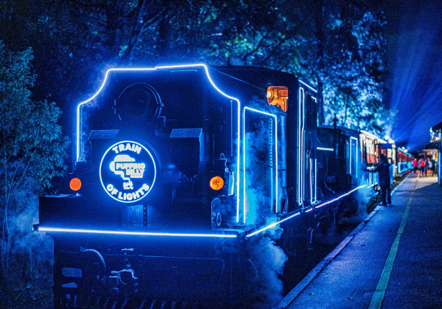 An illuminated train with blue hues sits at a platform. The front of the locomotive has a headboard saying Puffing Billy Railway Train of Lights. The blue hues illuminate the trees in the background.