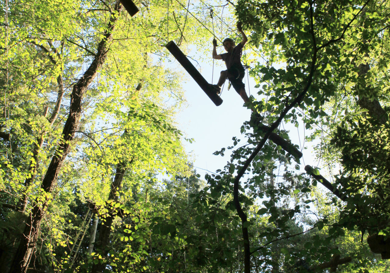 Ropes course high up in the trees, at Treetops Adventure Belgrave