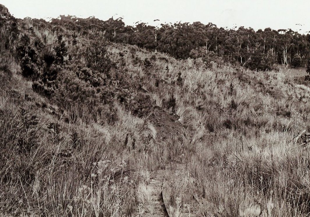 The 1953 landslide was a defining event in the history of both the Gembrook line and the Puffing Billy Preservation Society. This view towards Gembrook was taken on 3 November 1956.