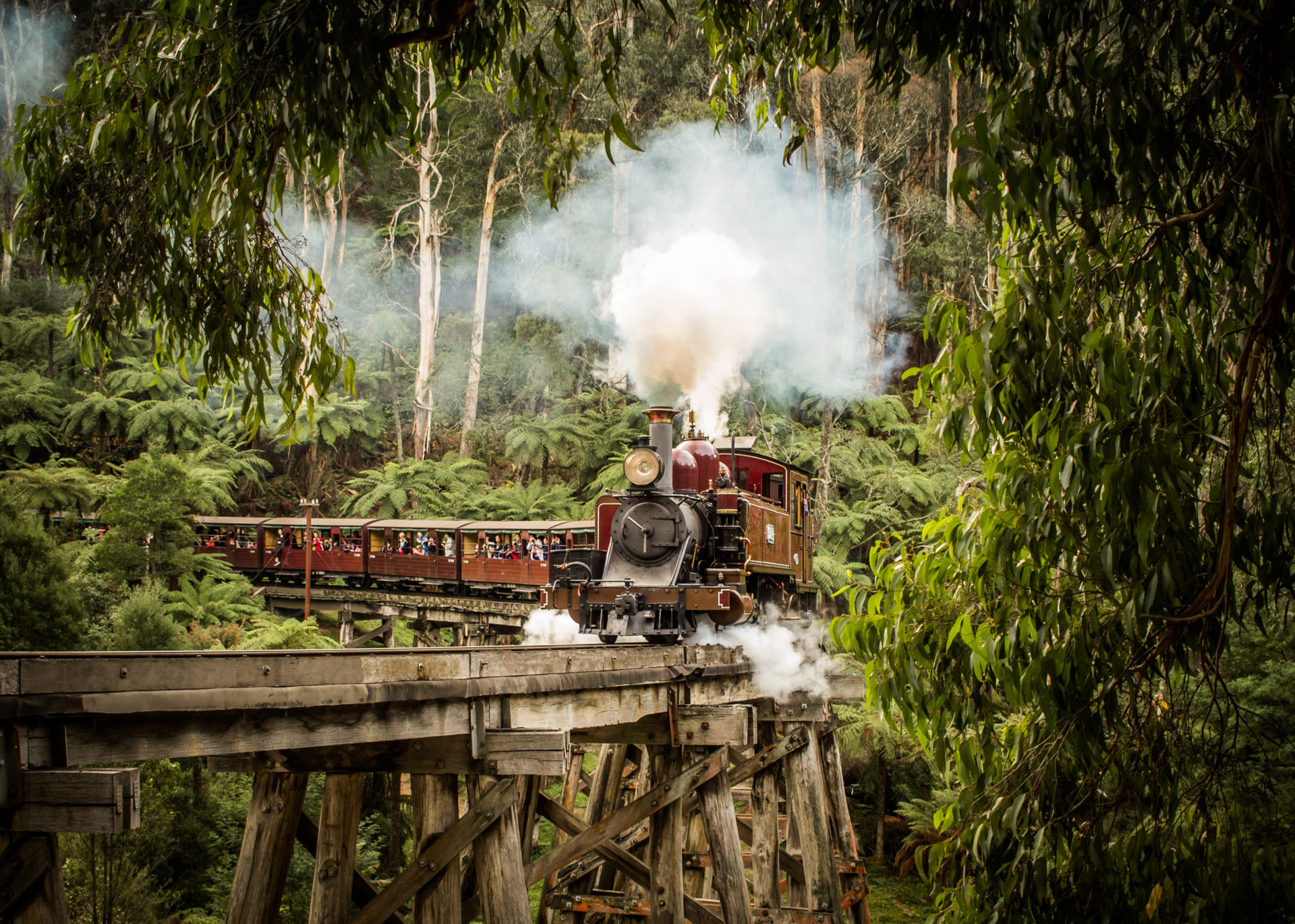 Innovation Station - Puffing Billy.