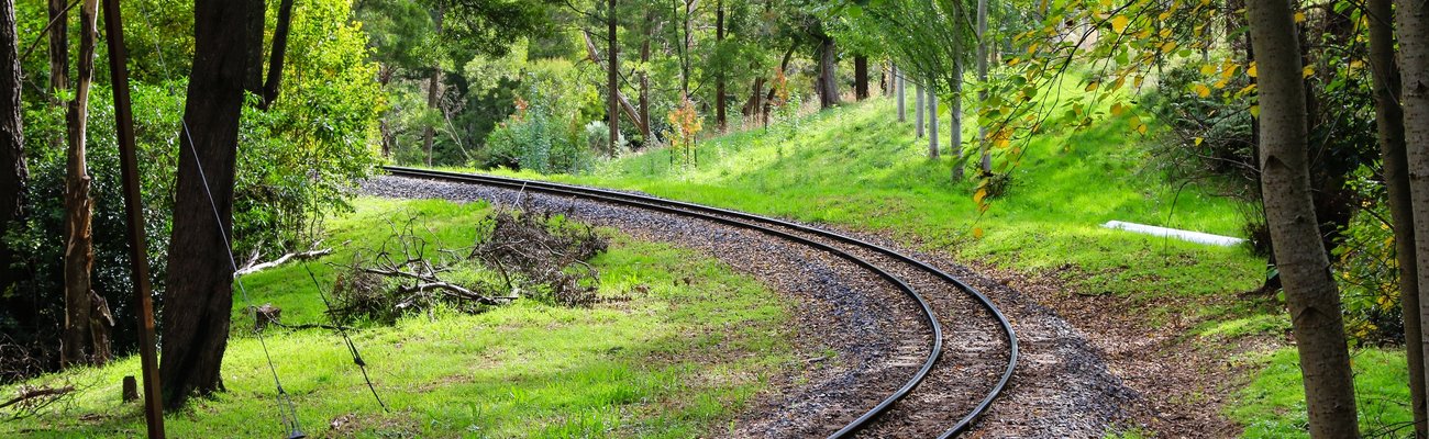 The Tracks At Puffing Billy.jpg 1300x400 Q85 Crop Subsampling 2 Upscale